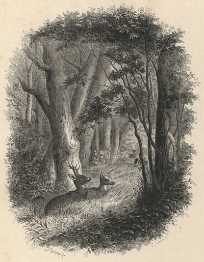 Et hjørne af skoven Fontainebleau (gravering) af European School