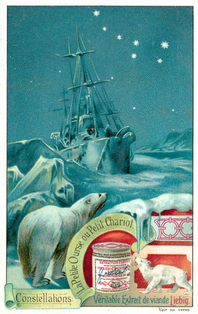 Ursa Minor (chromolitho) af European School