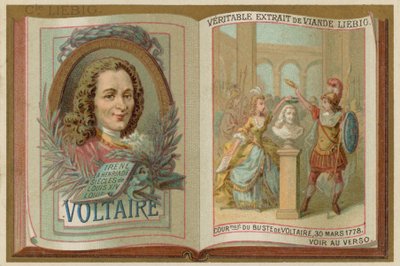 Voltaire af European School