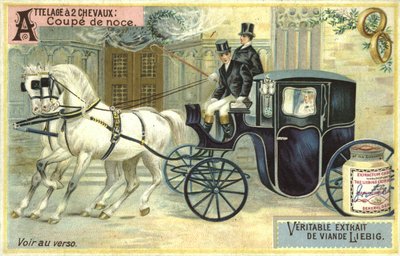 Wedding carriage  af European School