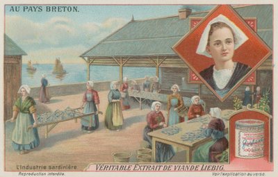 Kvinder tilbereder sardiner (chromolitho) af European School