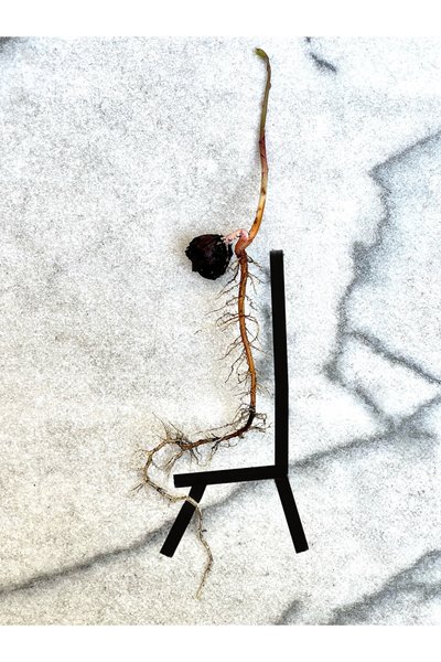 AcornSpine (digital kunst) af Evan Sklar