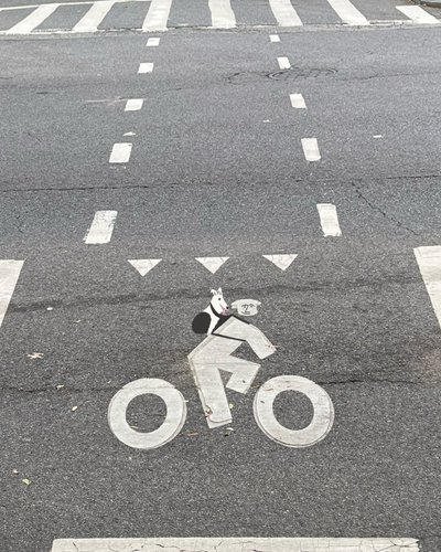 Skiltning af cykelsti på gaden (digital kunst) af Evan Sklar