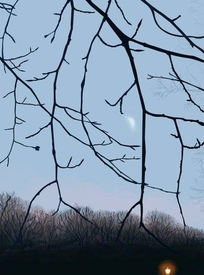 Grene, daggry, Prospect Park (digital kunst) af Evan Sklar