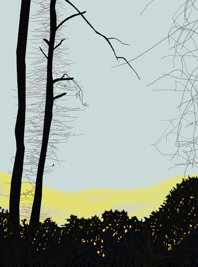 Kardinal i træ (digital kunst) af Evan Sklar