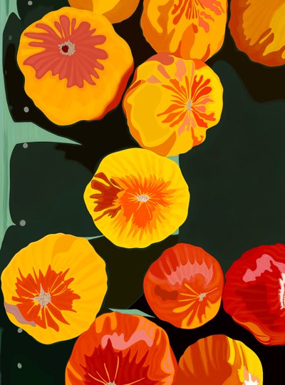 Eleven Tomatoes At Market Brooklyn (digital kunst) af Evan Sklar