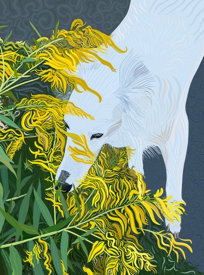 Goatdbeard White Dog og Goldenrod (digital kunst) af Evan Sklar