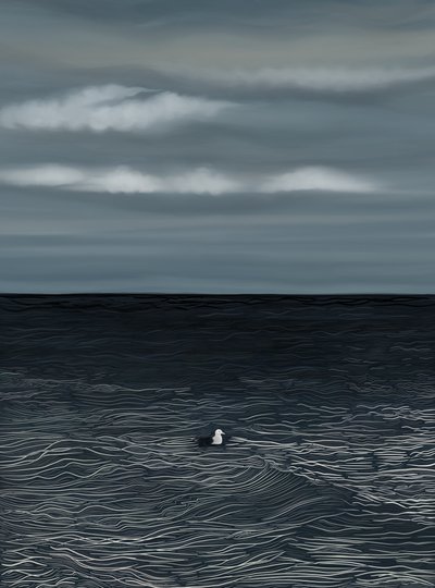 Måge flyder på vand og stormfuld himmel (digital kunst) af Evan Sklar