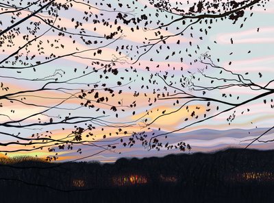 Hawk On Branch, prospect park (digital kunst) af Evan Sklar