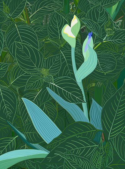 Iris og hortensia, 2025 (digital kunst) af Evan Sklar