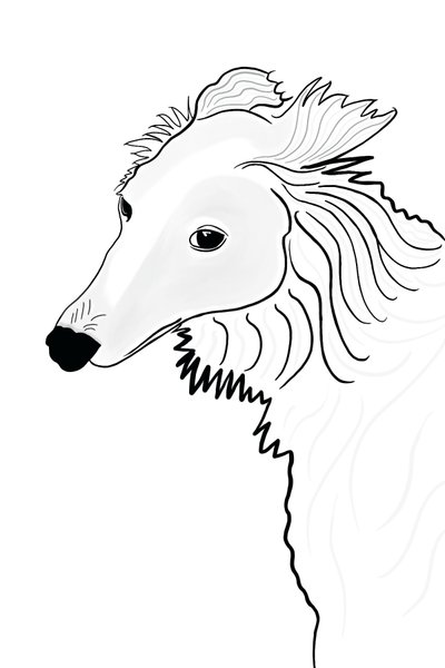 Stregtegning af Silken Windhound (digital kunst) af Evan Sklar