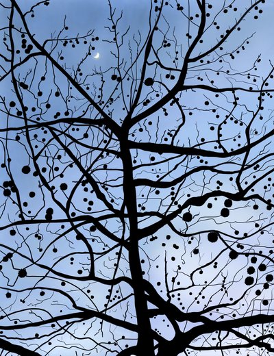 London PlaneTree og Moon, Brooklyn (digital kunst) af Evan Sklar