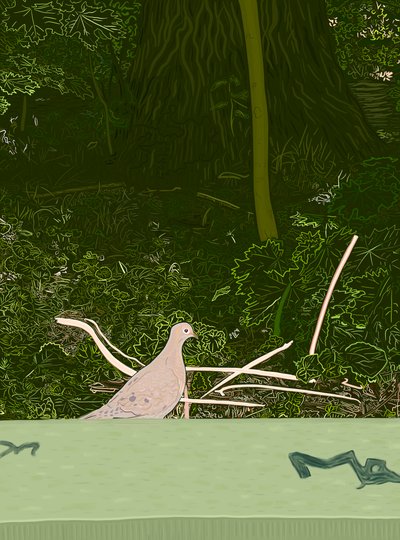 Sørgende due på væg i Prospect Park, ca. 2020-24 (digital kunst) af Evan Sklar