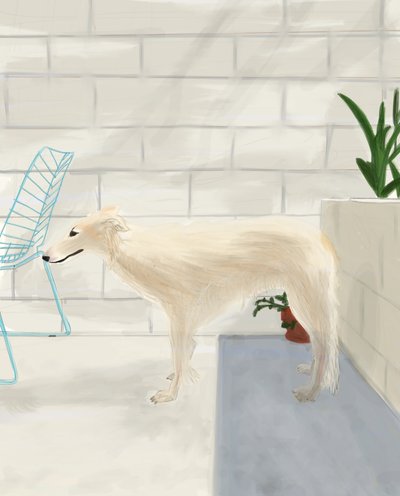 Penny On The Back Porch 2017 (håndtegnet på en iPad med en Apple-blyant) af Evan Sklar