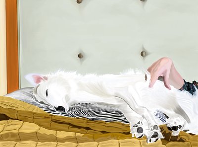 Penny på gul dyne, Brooklyn (digital kunst) af Evan Sklar