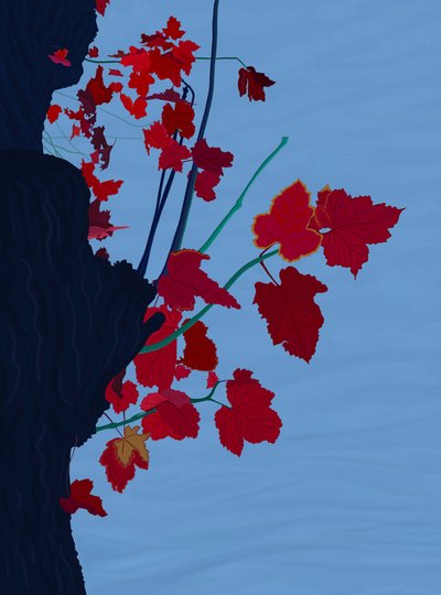 Rød ahorn, oktober, 2025 (digital kunst) af Evan Sklar