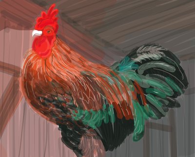 Rooster In Barn, 2018 (håndtegnet på en iPad med en Apple-blyant) af Evan Sklar