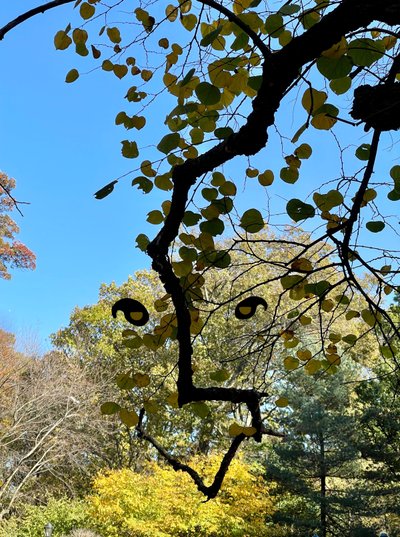 Smilende ansigt på en trægren, 2025 (digital kunst) af Evan Sklar