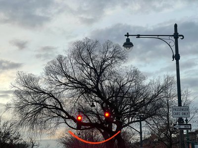 Smilende træ og trafiklys. Brooklyn (digital kunst) af Evan Sklar