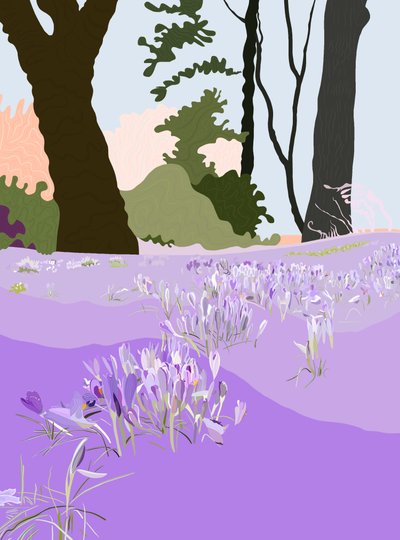 Forårskrokus (digital kunst) af Evan Sklar