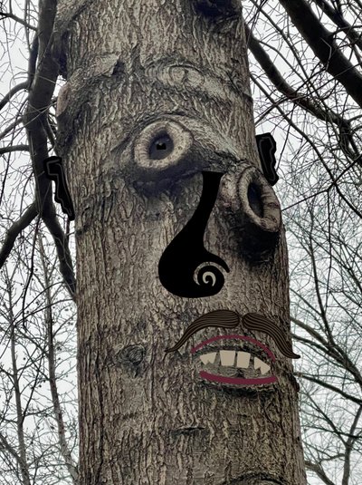 Tree Face , ca. 2020-24 (digital kunst) af Evan Sklar
