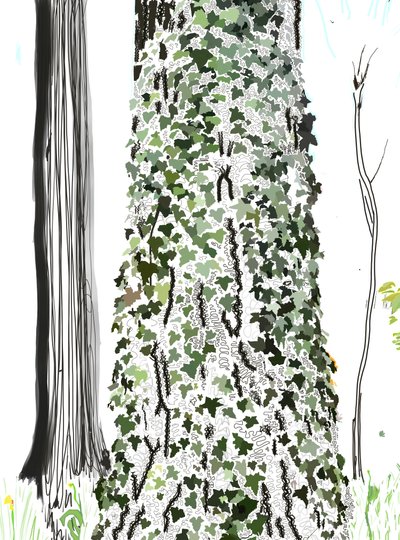 Træ med efeu (digital kunst) af Evan Sklar
