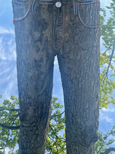 Upside down Tree as Blue Jeans (digital kunst) af Evan Sklar