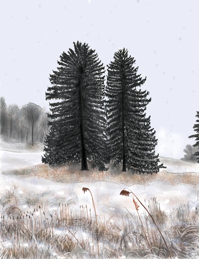 Ægteparret Pines af Evan Sklar