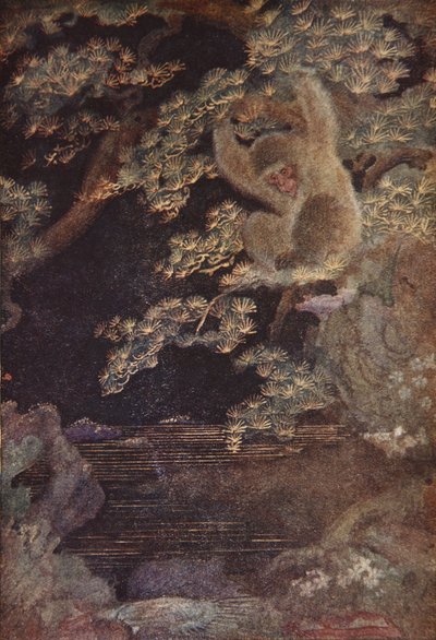 The Jellyfish and the Monkey, illustration fra 