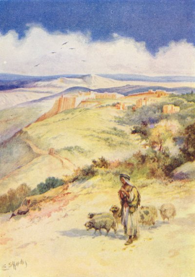 Hyrdedrengen David (farvelitografi) af Evelyn Stuart Hardy