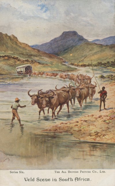 Landmænd, der driver kvæg, Sydafrika (farve litho) af Evelyn Stuart Hardy