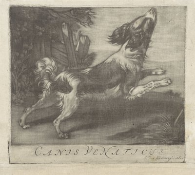 springende hund Canis Venaticus (titel på objekt) af Evert van Sweinen