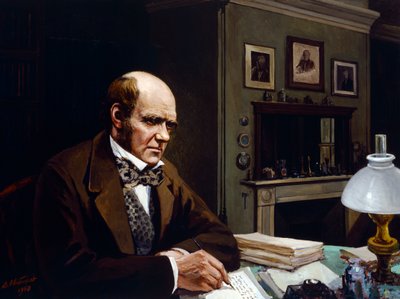 Darwin i sit arbejdsværelse (olie på lærred) af Evstafieff Evstafieff
