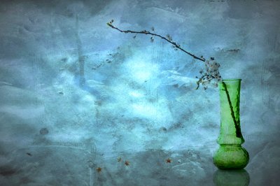 Stille blå blomster af Eyal Amer