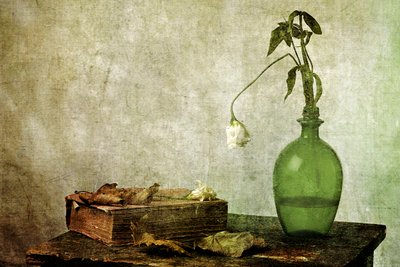 Den visne rose – en gammel bog af Eyal Amer