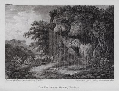 The Dropping Well, Yorkshire (gravering) af F. (after) Nicholson