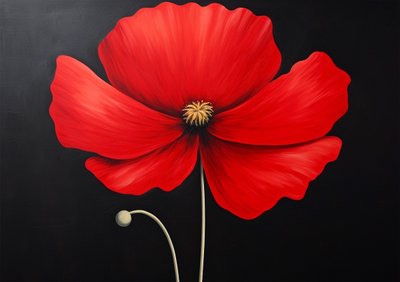 Rød hibiscusblomst, blomstret vægdekoration, lærredstryk online af F. Abderrahim