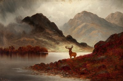 Stag at Bay (olie på lærred) af F. Carl