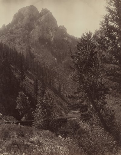 Uden titel, c. 1884. af F. Jay Haynes