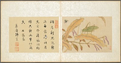 Album med diverse emner, blad 7, 1600-tallet. af Fan Qi