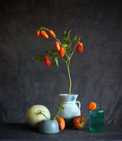Rustikt stilleben med orange tomater af Fangping Zhou