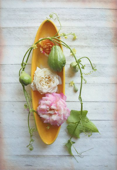 Rustik rose og chayote af Fangping Zhou