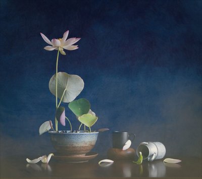 Fredfyldt lotus-stilleben af Fangping Zhou
