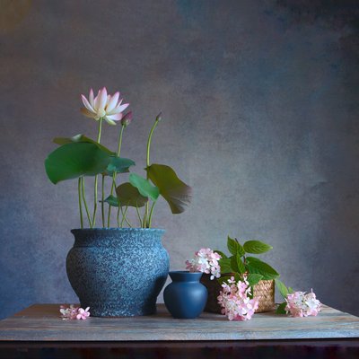 Fredfyldt stilleben med lotus af Fangping Zhou