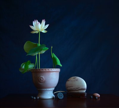 Zen-stilleben med lotus af Fangping Zhou