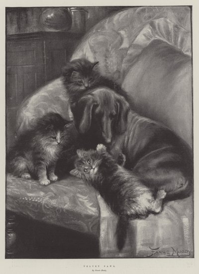 Velvet Paws af Fannie Moody