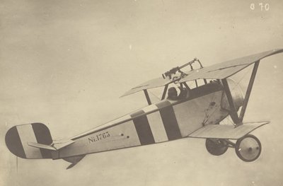 [Profil af en flyvende Nieuport 17 (flyvemaskine)] af Fedele Azari