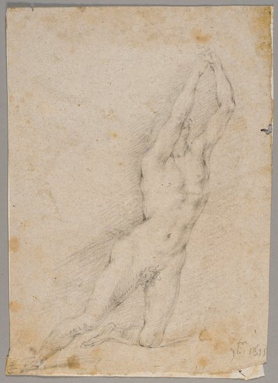 Tegning af Fedele Fischetti
