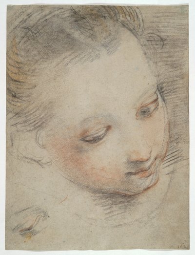 Head of a Girl, studere for en figur i Madonna del Popolo-altertavlen i Uffizierne af Federico Barocci