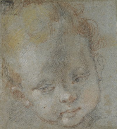 Recto: Hoved af et barn (sort, rød, hvid, pink og gul kridt på blågråt papir) af Federico Barocci